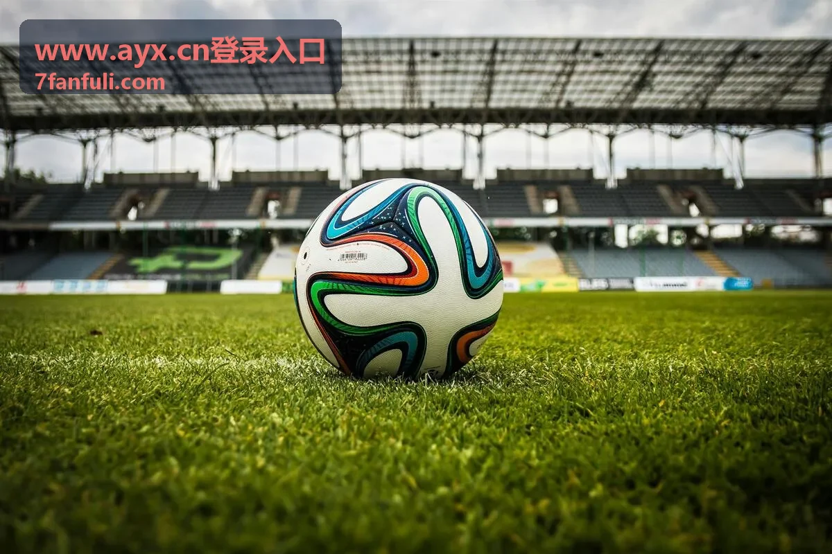 www.ayx.cn登录入口 访问异常排查封面