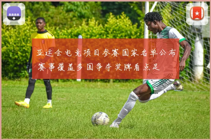 亚运会电竞项目参赛国家名单公布 赛事覆盖多国争夺奖牌看点足