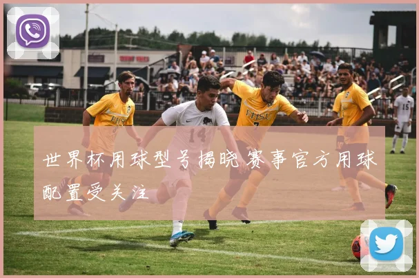 世界杯用球型号揭晓 赛事官方用球配置受关注