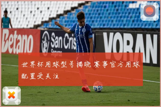 世界杯用球型号揭晓 赛事官方用球配置受关注