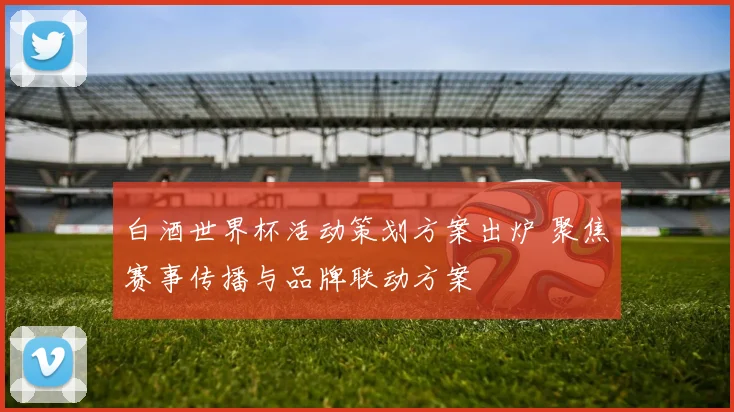 白酒世界杯活动策划方案出炉 聚焦赛事传播与品牌联动方案