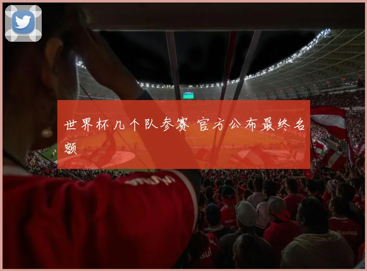 世界杯几个队参赛 官方公布最终名额