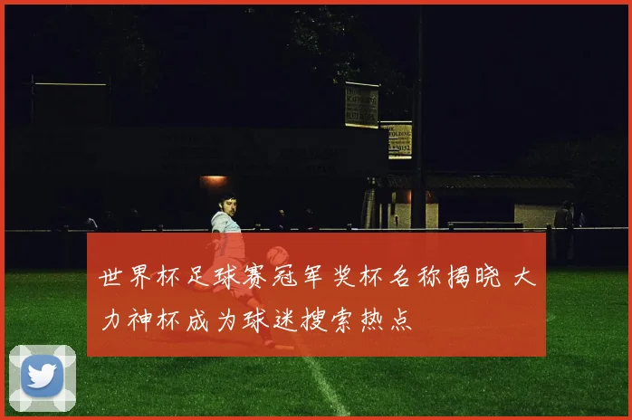 世界杯足球赛冠军奖杯名称揭晓 大力神杯成为球迷搜索热点