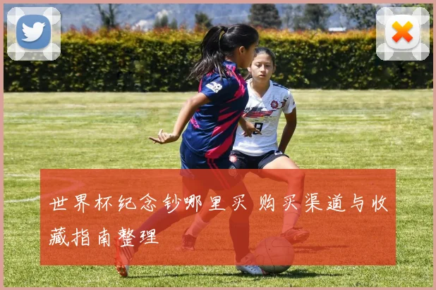 世界杯纪念钞哪里买 购买渠道与收藏指南整理