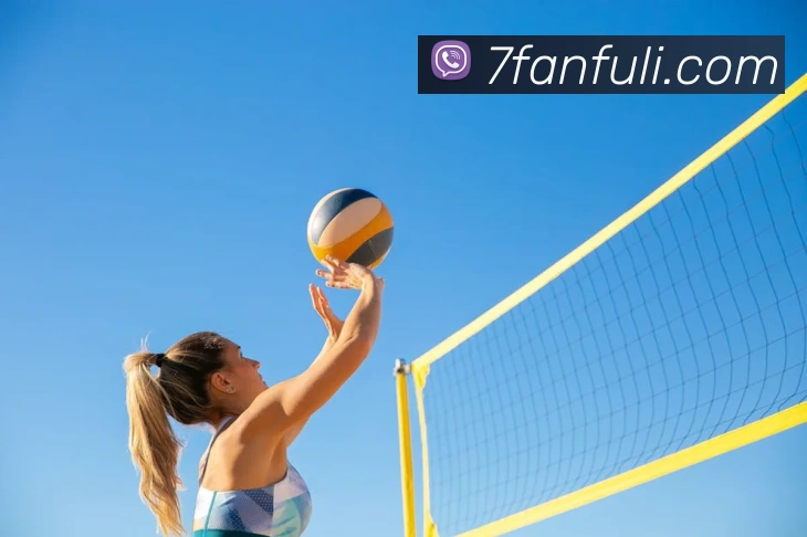 kaiyun网页登录入口发展历程